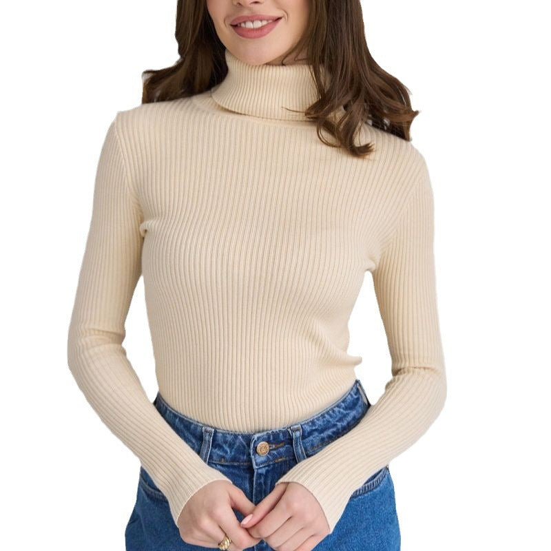 Women's Knitwear Turtleneck Pullover